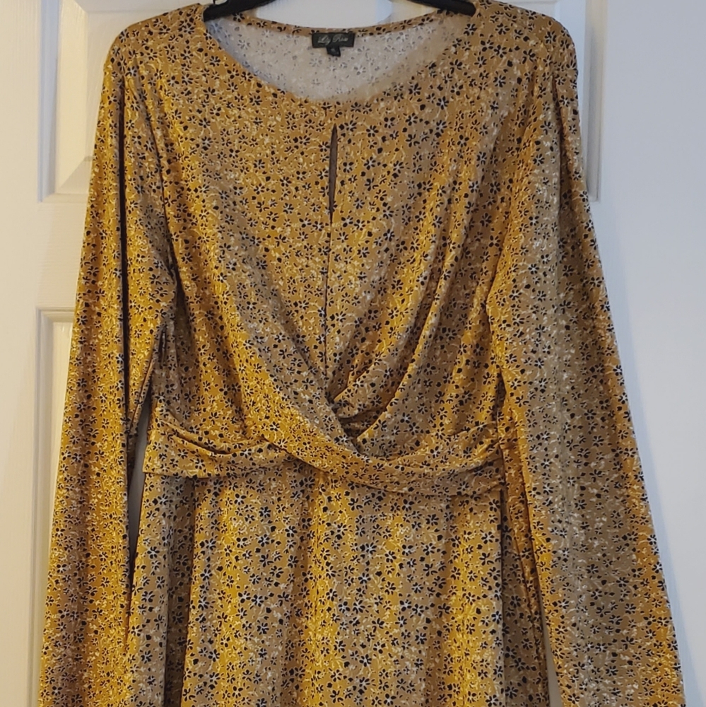 Women's Dress by Lily rose